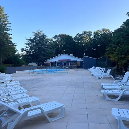 La Pinede Ensoleillee Au La Dune Blanche Camiers