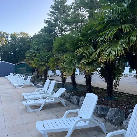 La Pinede Ensoleillee Au La Dune Blanche Camiers