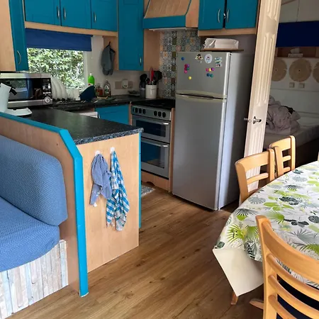 La Pinede Ensoleillee Au La Dune Blanche Camiers