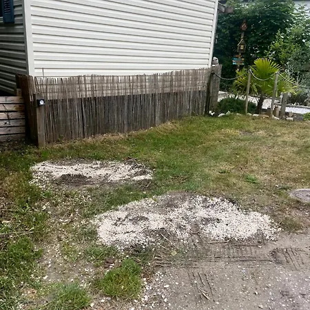 La Pinede Ensoleillee Au La Dune Blanche Kemping