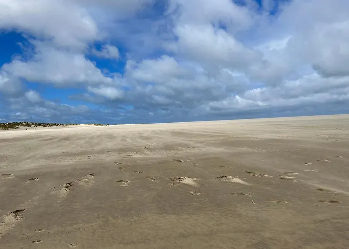 Camping La Pinède Ensoleillée Au La Dune Blanche Camiers