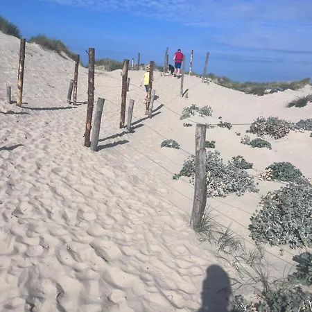 אתר קמפינג La Pinede Ensoleillee Au La Dune Blanche