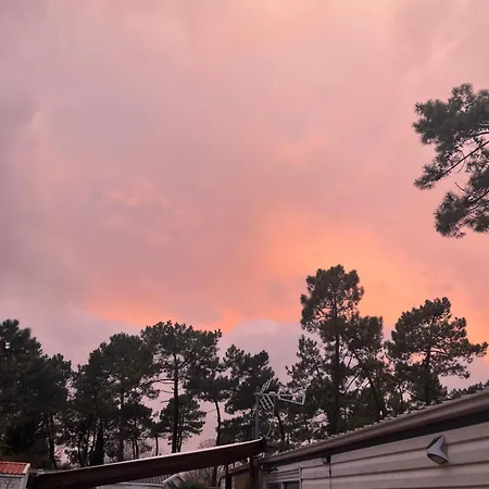 אתר קמפינג La Pinede Ensoleillee Au La Dune Blanche *