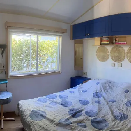 La Pinede Ensoleillee Au La Dune Blanche