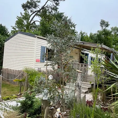 La Pinede Ensoleillee Au La Dune Blanche