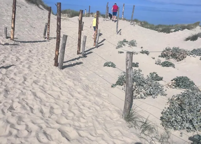 Camping La Pinède Ensoleillée Au La Dune Blanche
