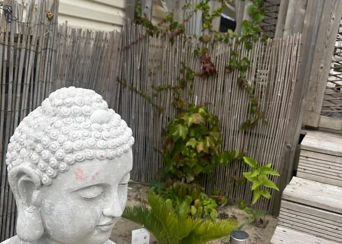 Camping La Pinède Ensoleillée Au La Dune Blanche