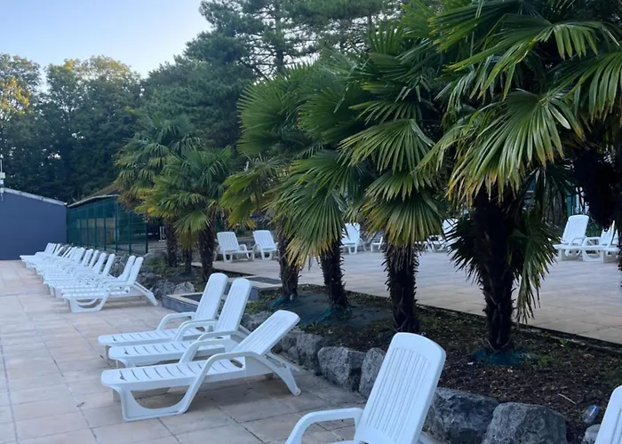 La Pinède Ensoleillée Au La Dune Blanche Camiers