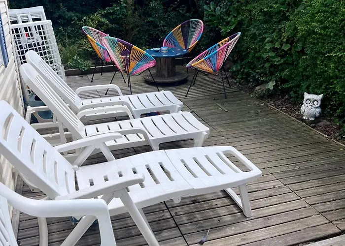 La Pinède Ensoleillée Au La Dune Blanche Camping