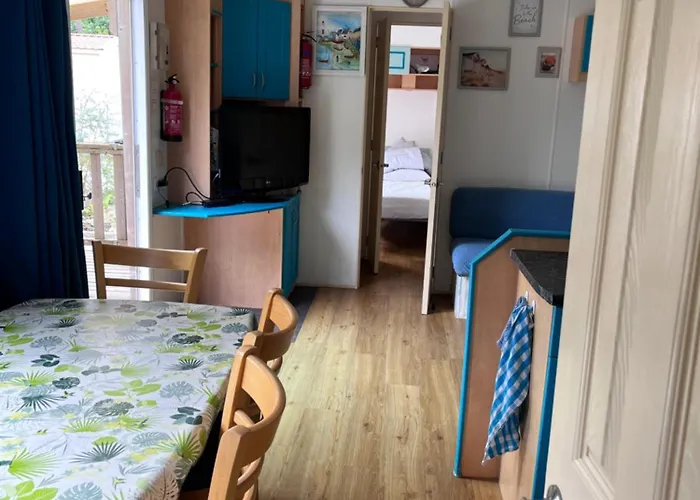 La Pinède Ensoleillée Au La Dune Blanche Camping