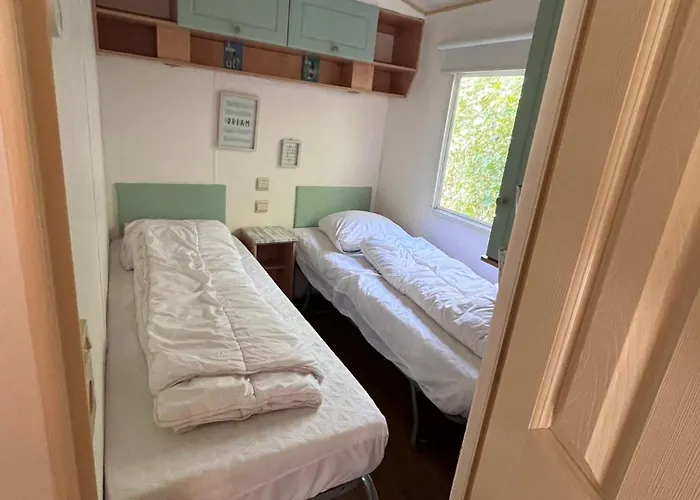 La Pinède Ensoleillée Au La Dune Blanche *