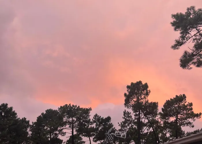 Camping La Pinède Ensoleillée Au La Dune Blanche *