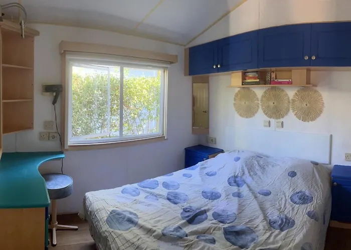 La Pinède Ensoleillée Au La Dune Blanche