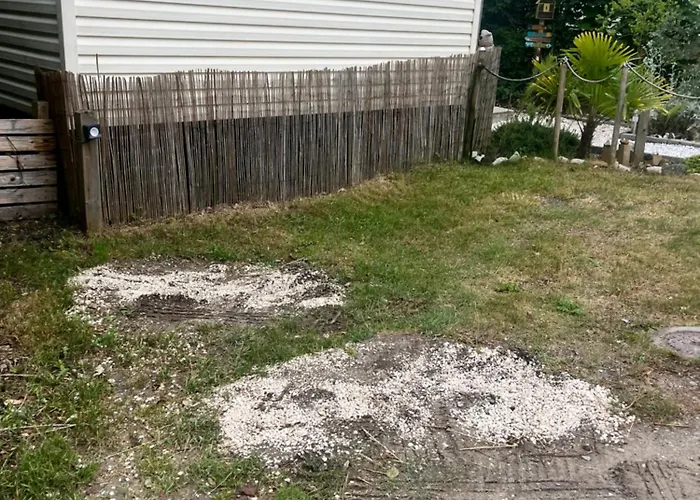 La Pinède Ensoleillée Au La Dune Blanche Camping