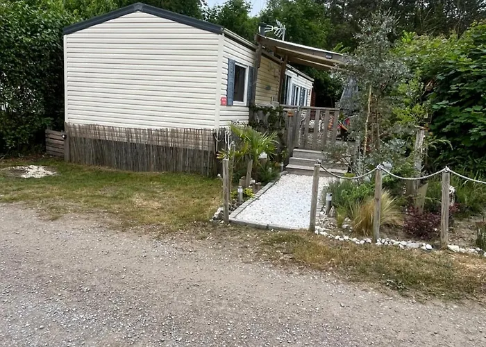 La Pinède Ensoleillée Au La Dune Blanche Camping *